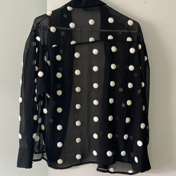 ZARA Blouse. Sz XS fits like a small. Black. Sheer. Like new. - Picture 7 of 7
